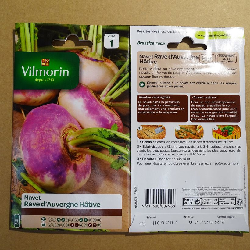 Example of Rübe Rave d'Auvergne Hâtif - Vilmorin per pack of 1600 seeds (4g) as you get