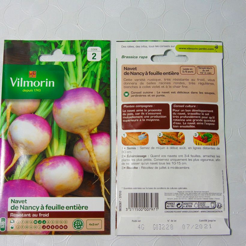 Example of Rübe von Nancy de Nancy à Feuille Entière - Vilmorin per pack of 1600 seeds (4g) as you get