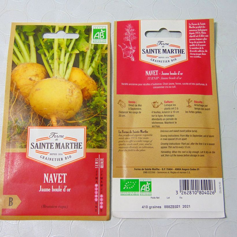 Example of Rübe Boule d'Or Bio - Ferme de Sainte Marthe per pack of 250 seeds as you get