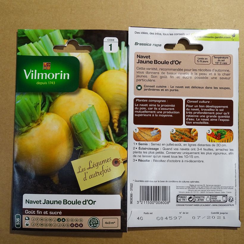 Example of Rübe Boule D'Or - Vilmorin per pack of 1600 seeds (4g) as you get