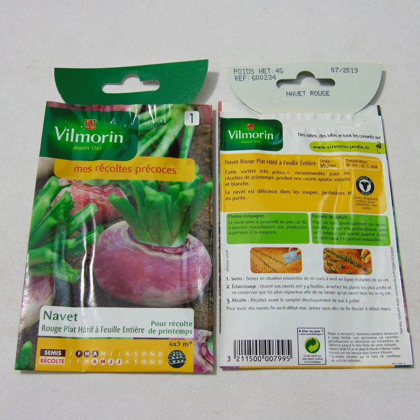 Example of Rübe Hâtif à Feuille Entière - Vilmorin per pack of 1600 seeds (4g) as you get