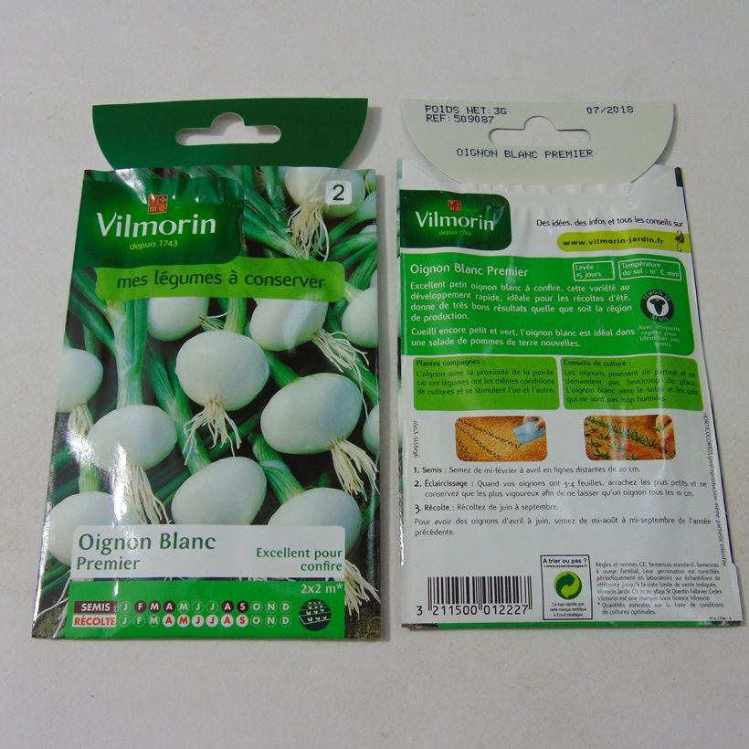 Example of Weiße Zwiebel Blanc Premier - Vilmorin per pack of 750 seeds (3g) as you get