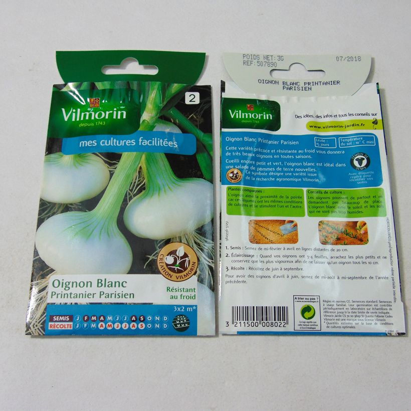 Example of Weiße Zwiebel Printanier Parisien - Vilmorin per pack of 750 seeds (3g) as you get