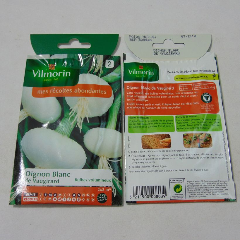 Example of Weiße Zwiebel Blanc de Vaugirard - Vilmorin per pack of 750 seeds (3g) as you get
