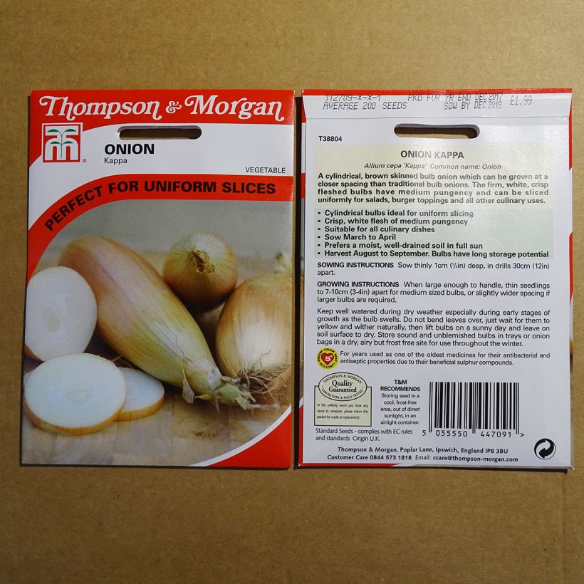 Example of Zwiebel Kappa per pack of 200 seeds as you get