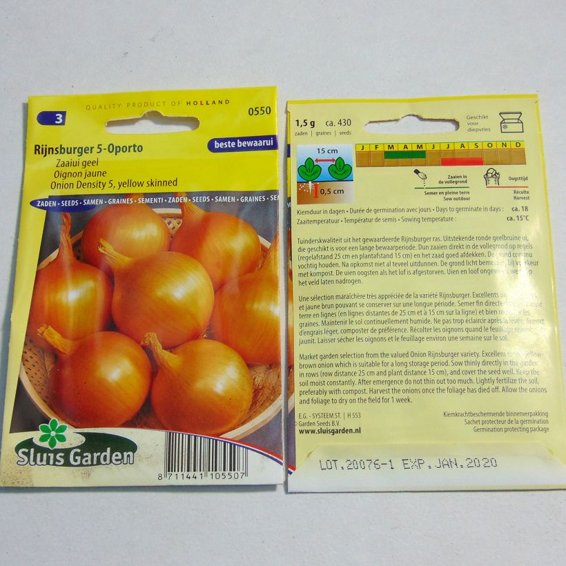Example of Zwiebel Rijnsburger 5 Oporto per pack of 430 seeds (1g) as you get