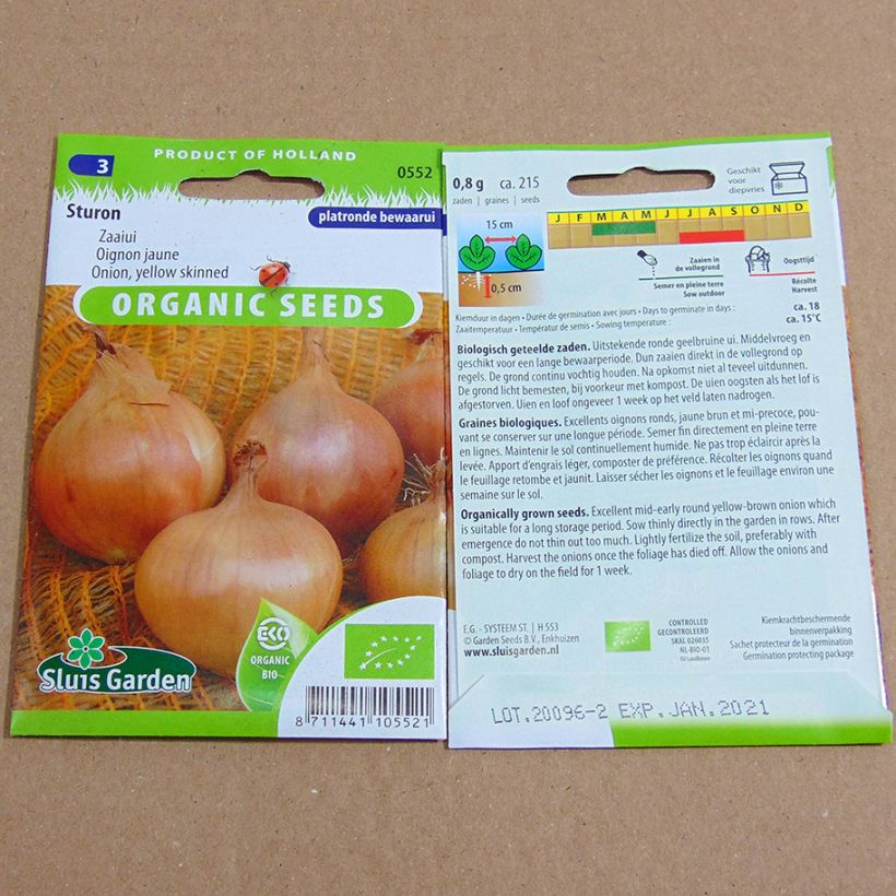 Example of Steckzwiebel Sturon Bio per pack of 215 seeds as you get