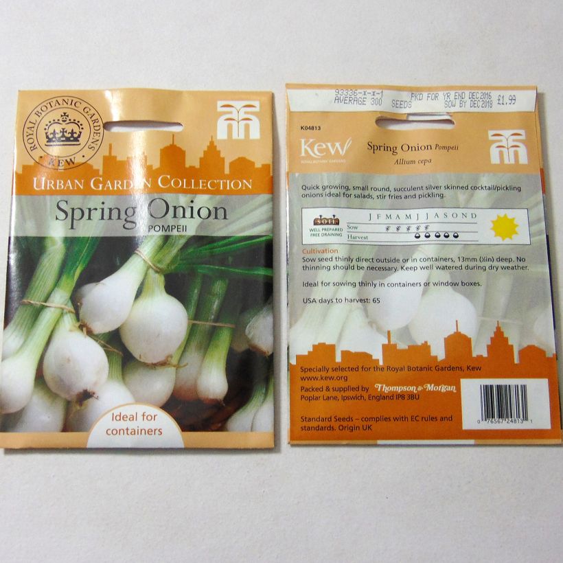 Example of Weiße Zwiebel Pompeii per pack of 300 seeds as you get