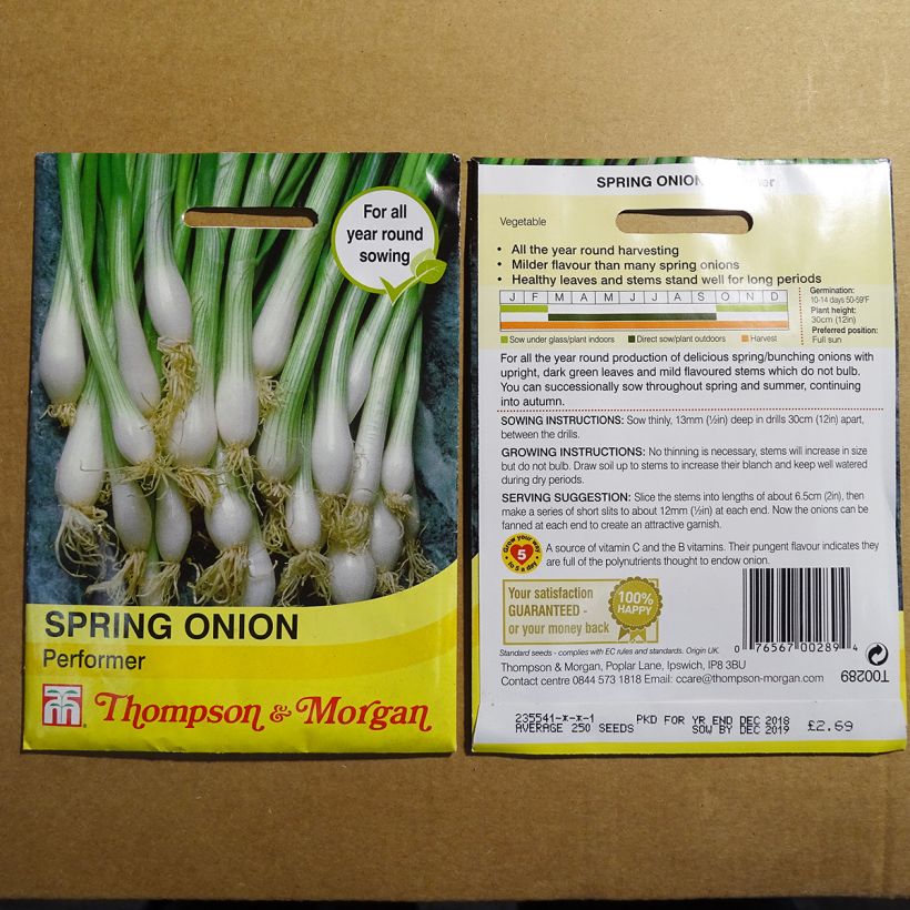 Example of Winter-Zwiebel Performer per pack of 300 seeds as you get