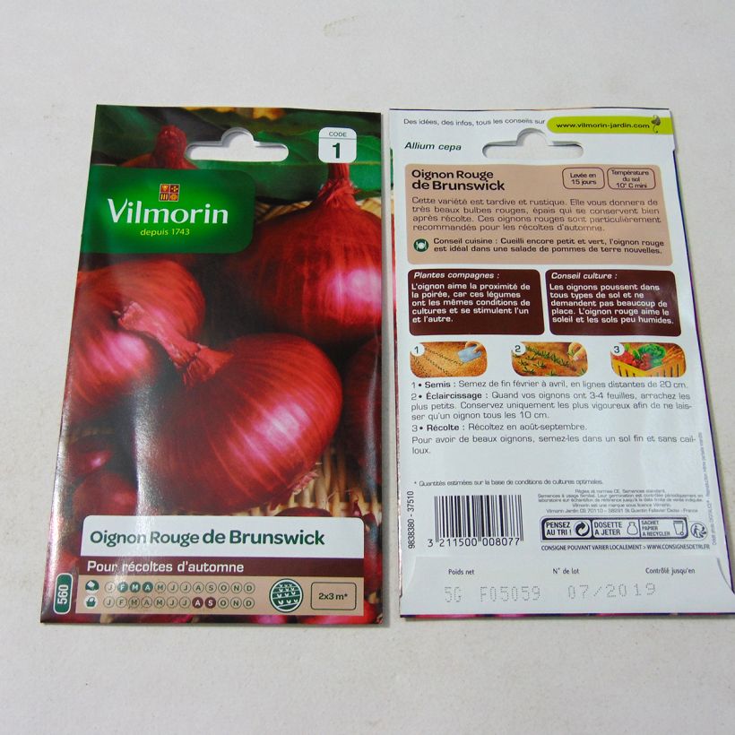 Example of Reinsaat Zwiebel de Brunswick - Vilmorin per pack of 1250 seeds (5g) as you get