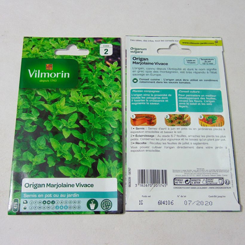 Example of Gewöhnlicher Dost - Vilmorin - Origanum vulgare per pack of 12000 seeds (1g) as you get
