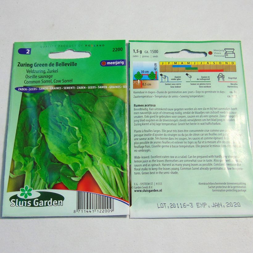 Example of Ampfer (Samen) - Rumex acetosa per pack of 1500 seeds (1g) as you get