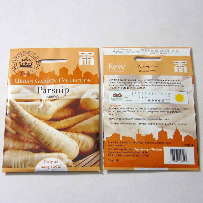 Example of Pastinak Arrow per pack of 100 seeds as you get