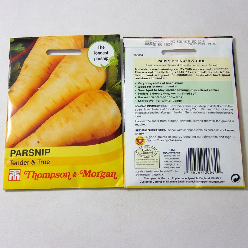 Example of Pastinak Tender And True per pack of 550 seeds as you get