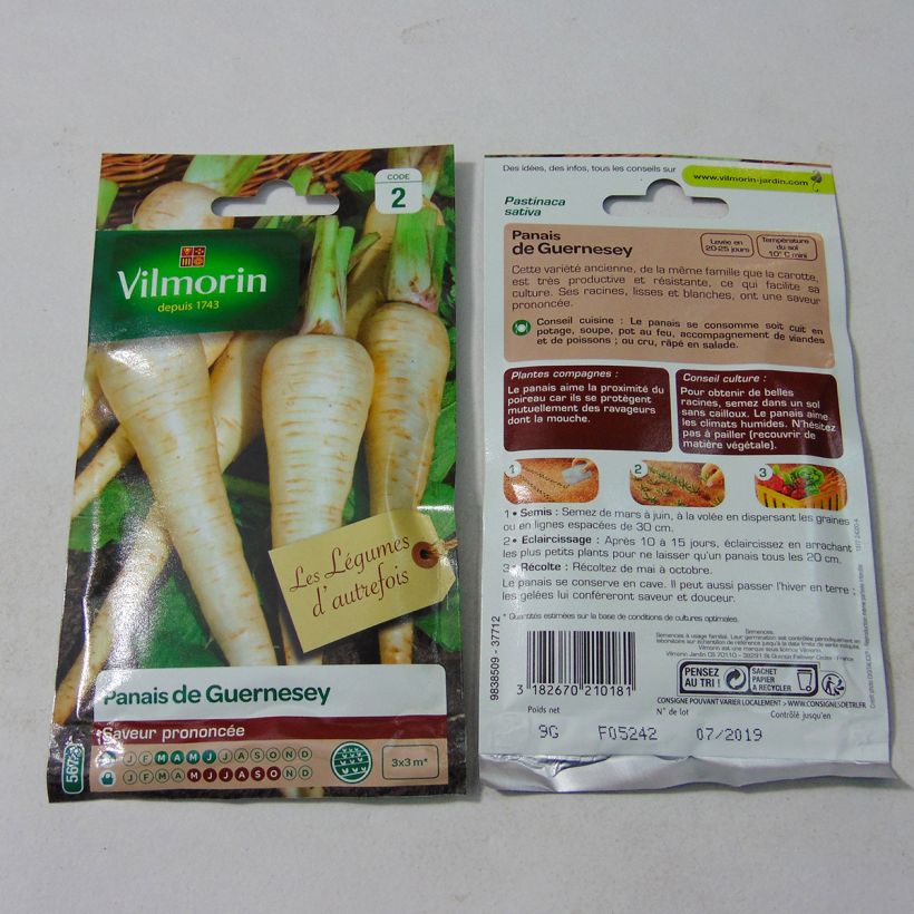 Example of Pastinak de Guernesey - Vilmorin per pack of 1800 seeds (9g) as you get
