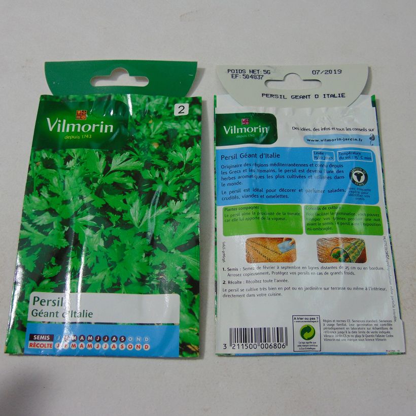 Example of Garten-Petersilie Géant d'Italie - Vilmorin per pack of 3000 seeds (5g) as you get