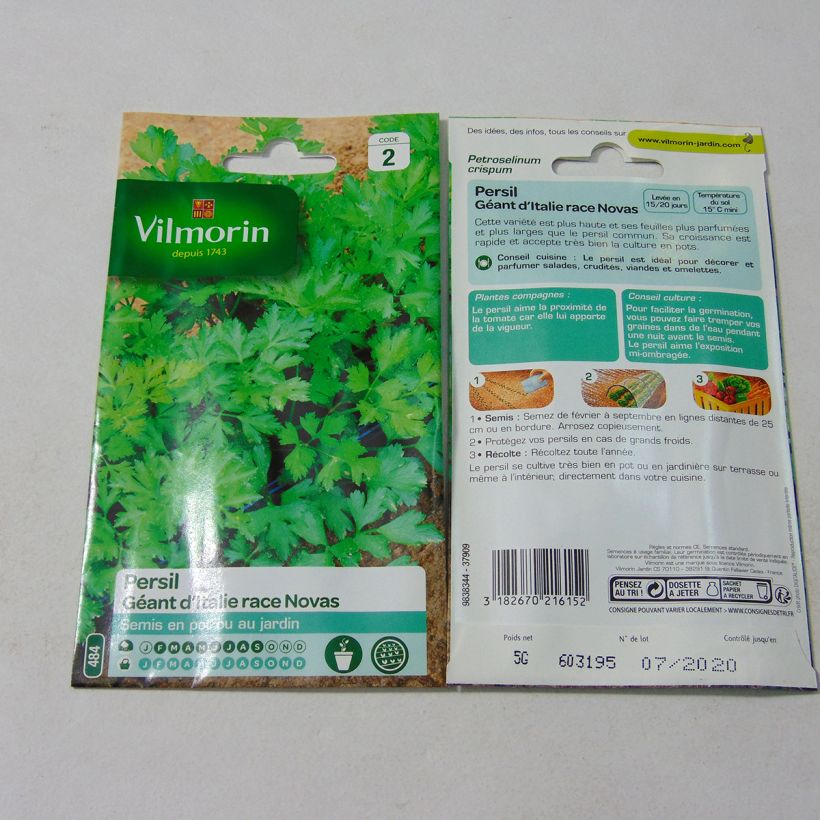 Example of Garten-Petersilie Géant D'Italie race Novas per pack of 3000 seeds (5g) as you get