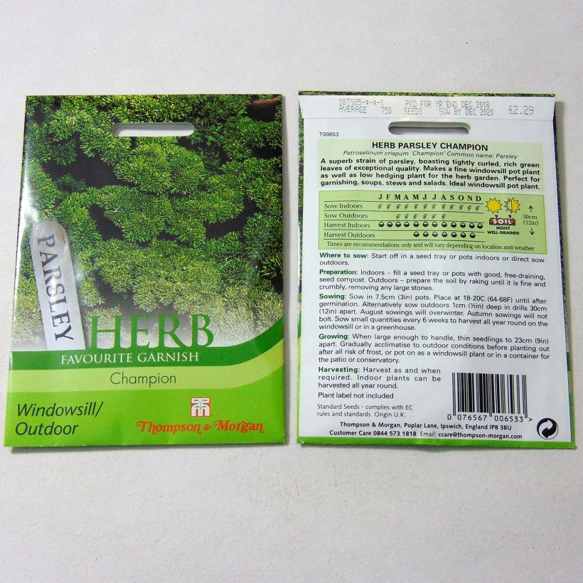 Example of Garten-Petersilie Champion per pack of 1750 seeds as you get