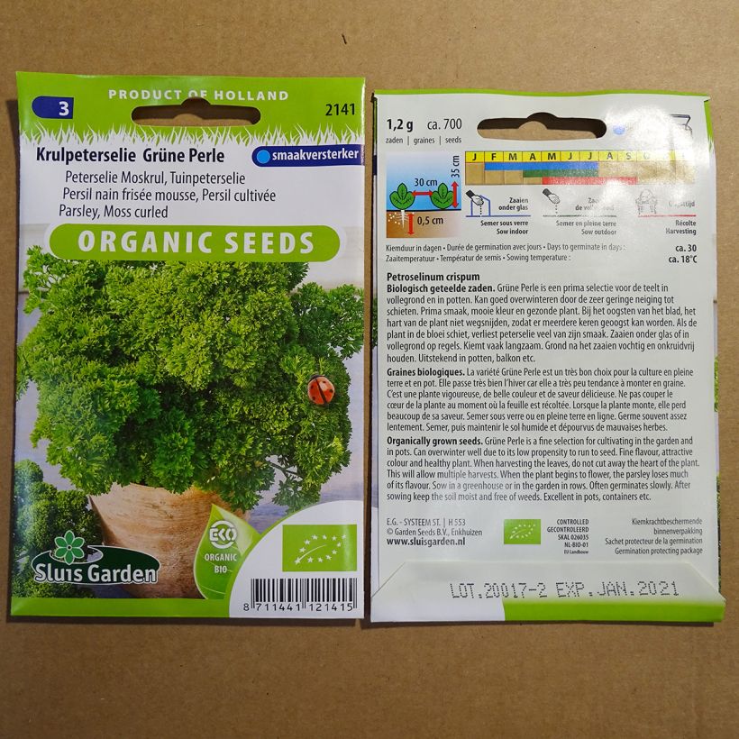 Example of Garten-Petersilie Perle Verte Grüne Perle per pack of 1200 seeds (2g) as you get