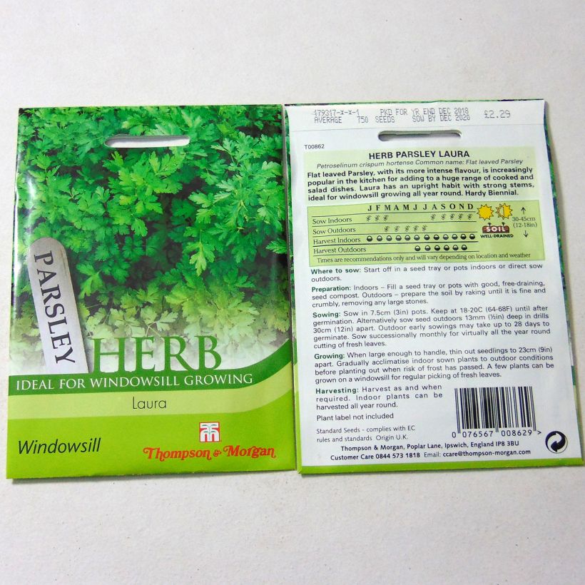Example of Petersilie Laura - Petroselinum sativum per pack of 750 seeds as you get