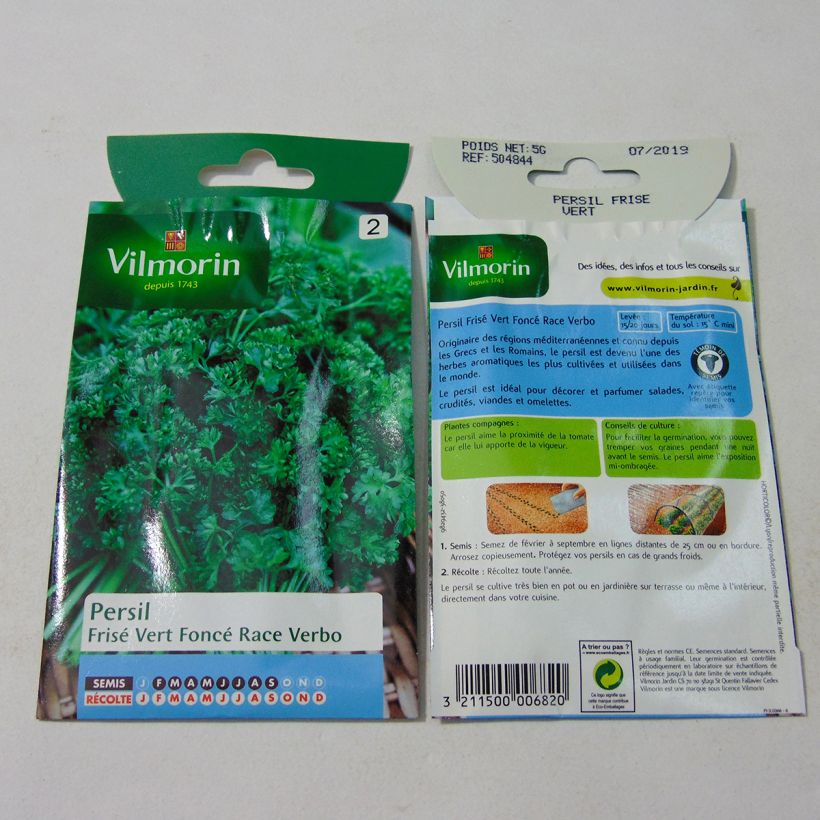 Example of Garten-Petersilie race Verbo per pack of 3000 seeds (5g) as you get