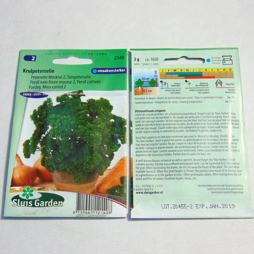 Example of Garten-Petersilie Mousse 2 per pack of 1650 seeds (3g) as you get