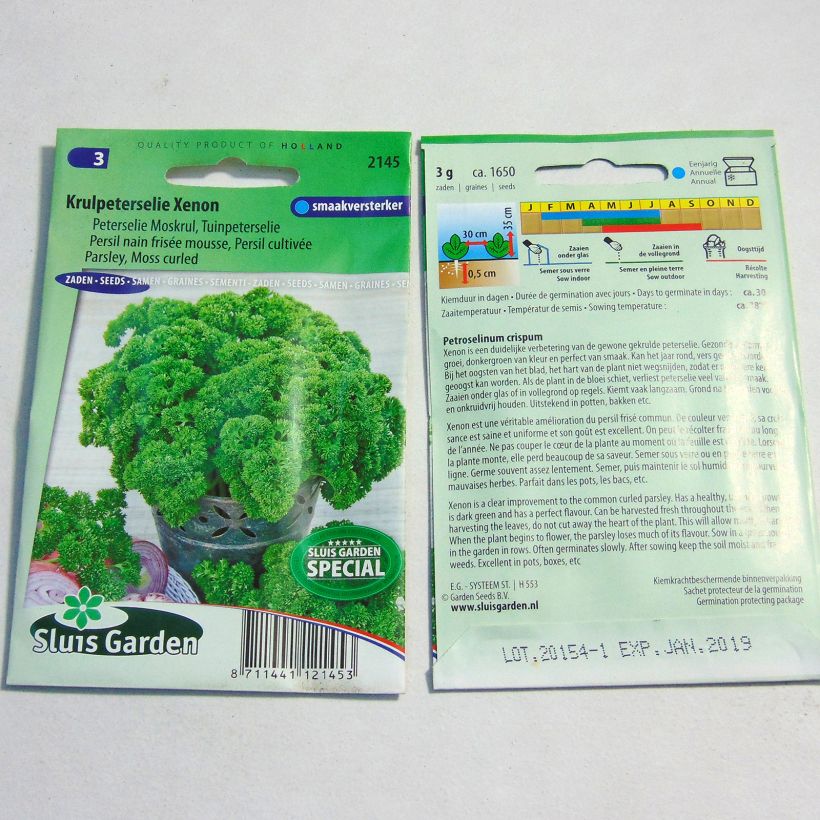 Example of Garten-Petersilie Wega per pack of 1650 seeds (3g) as you get