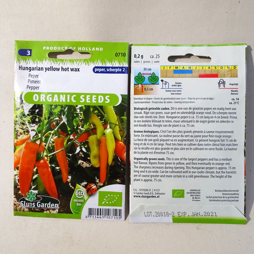 Example of Chili-Pfeffer Hungarian Yellow Wax Hot Bio per pack of 25 seeds (0.2g) as you get