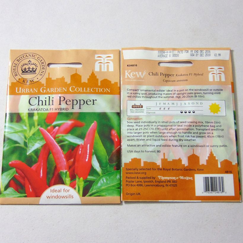 Example of Chili-Pfeffer Krakatoa per pack of 6 seeds as you get