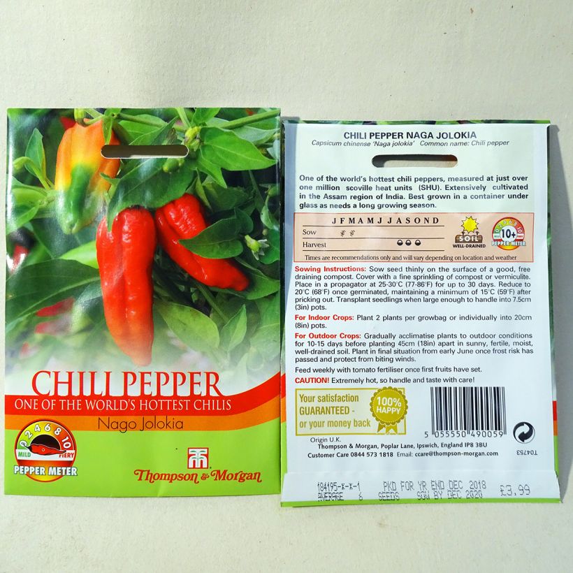 Example of Chili-Pfeffer Naga Jolokia per pack of 6 seeds as you get