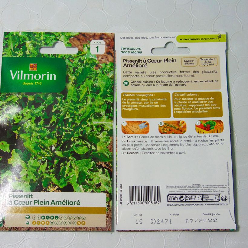 Example of Wiesen-Löwenzähne Cœur Plein amélioré - Vilmorin - Taraxacum officinale per 1 g seed pack as you get