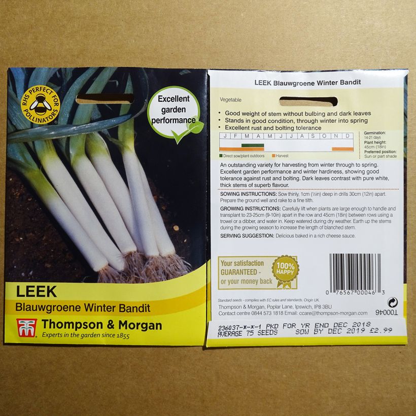 Example of Lauch-Porree Blauwgroene Winter - Bandit per pack of 250 seeds as you get