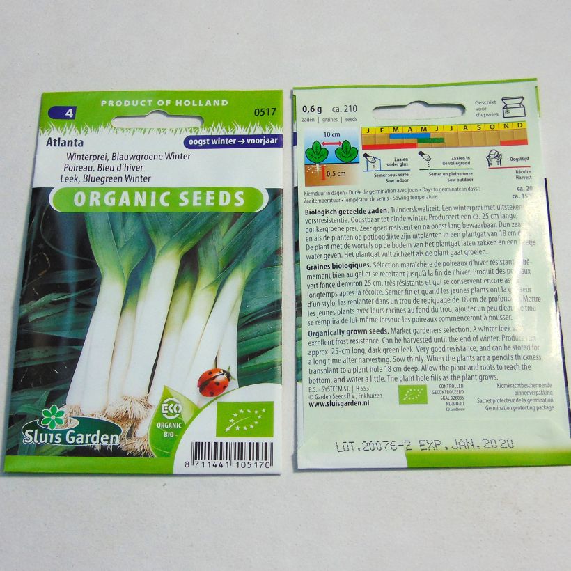 Example of Lauch-Porree Atlanta Bio per pack of 210 seeds as you get