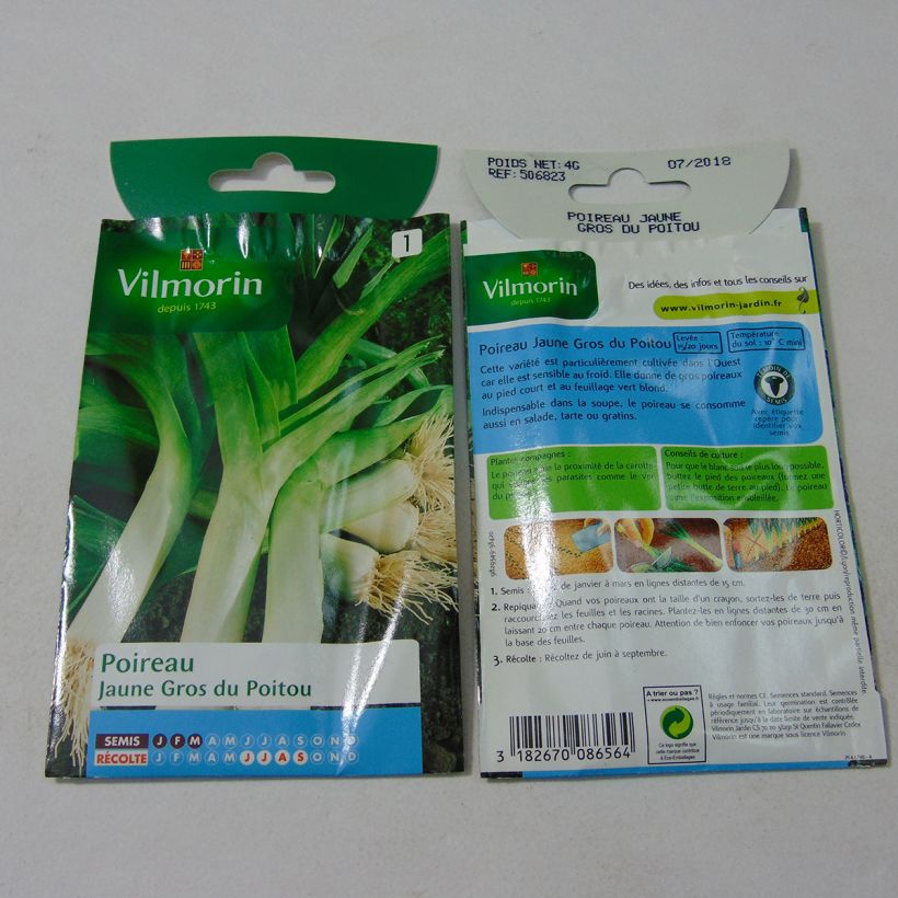Example of Lauch-Porree Jaune gros du Poitou - Vilmorin per pack of 1000 seeds (4g) as you get