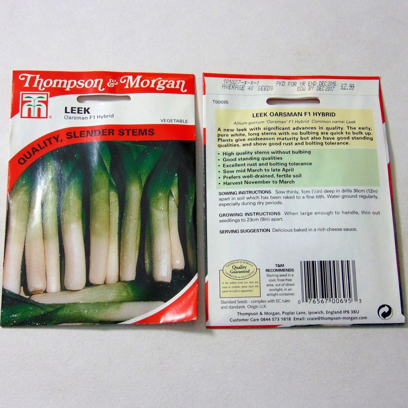 Example of Lauch-Porree Oarsman F1 per pack of 40 seeds as you get