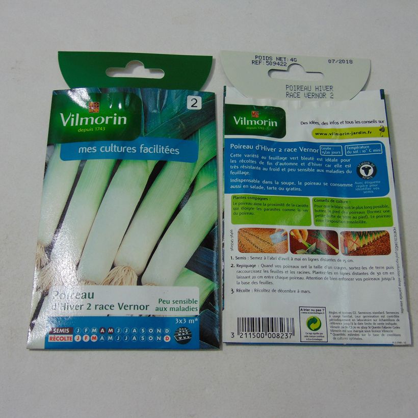 Example of Lauch-Porree d'hiver 2 race Vernor - Vilmorin per pack of 1000 seeds (4g) as you get
