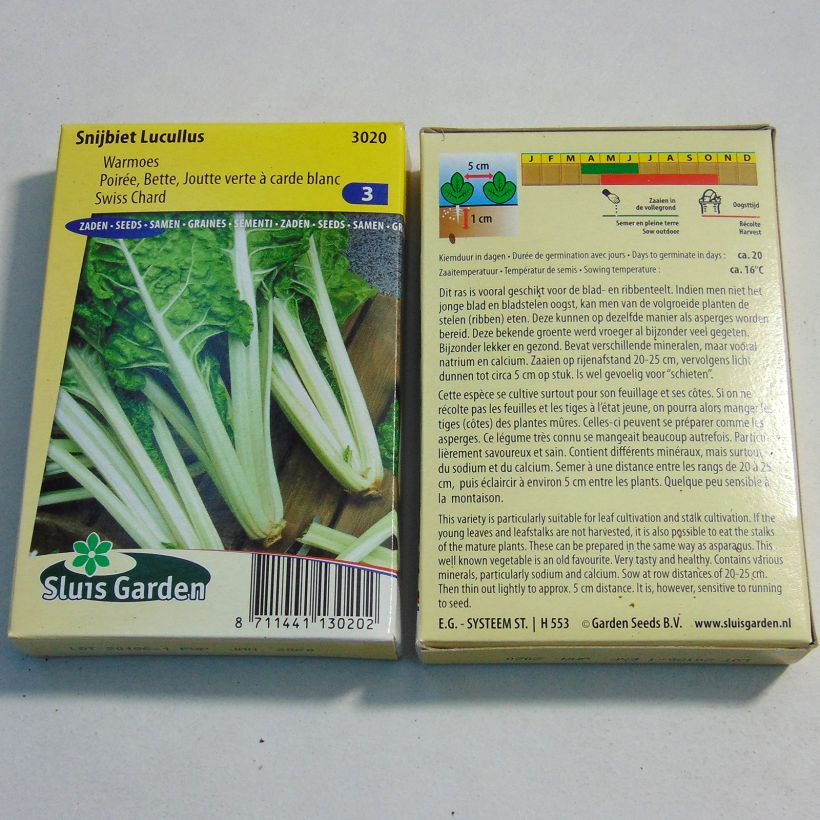 Example of Grüner Mangold verte à carde blanc Lucullus per pack of 1000 seeds (25g) as you get