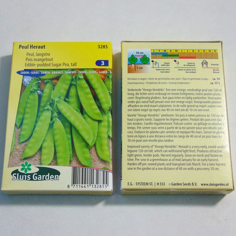 Example of Riesige Erbse Héraut per pack of 250-300 seeds (100g) as you get