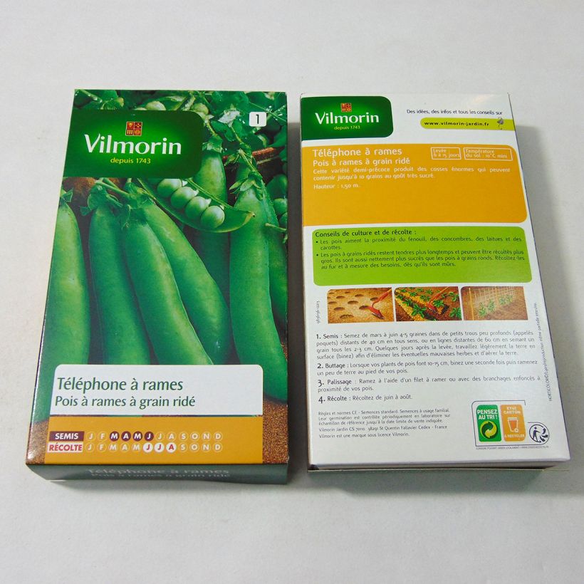 Example of Riesige Erbse Téléphone à rames - Vilmorin per pack of 600 seeds (200g) as you get