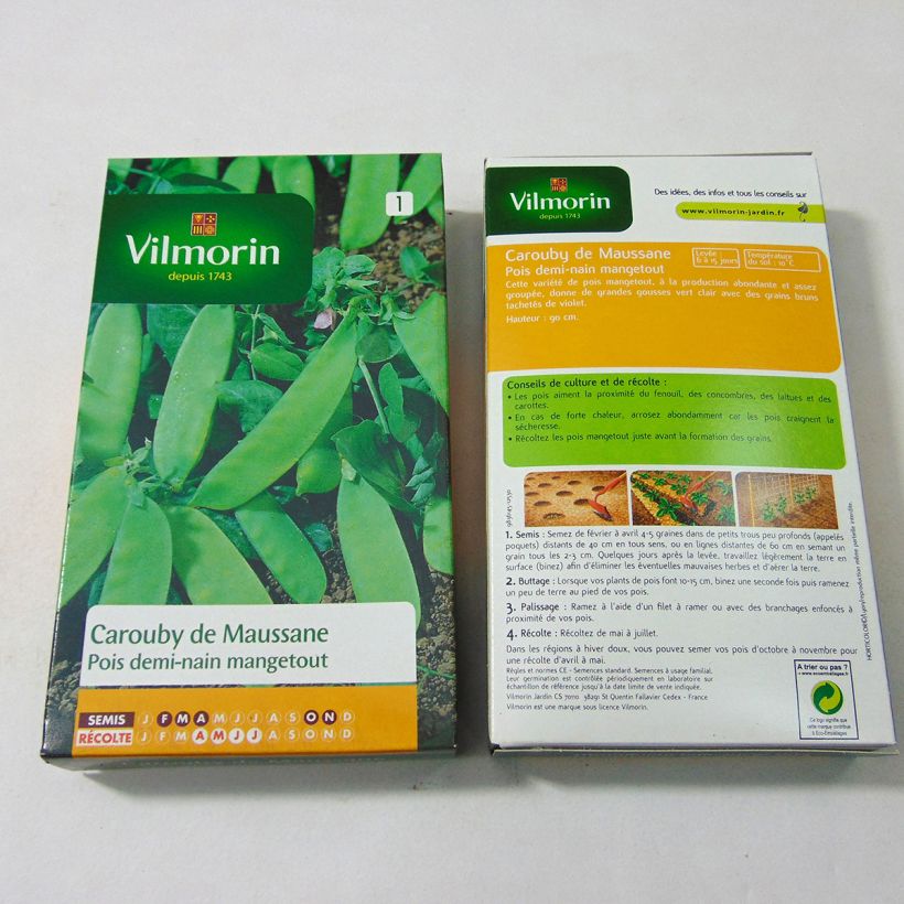 Example of Zwergerbse Carouby de Maussane - Vilmorin per pack of 540 seeds (180g) as you get