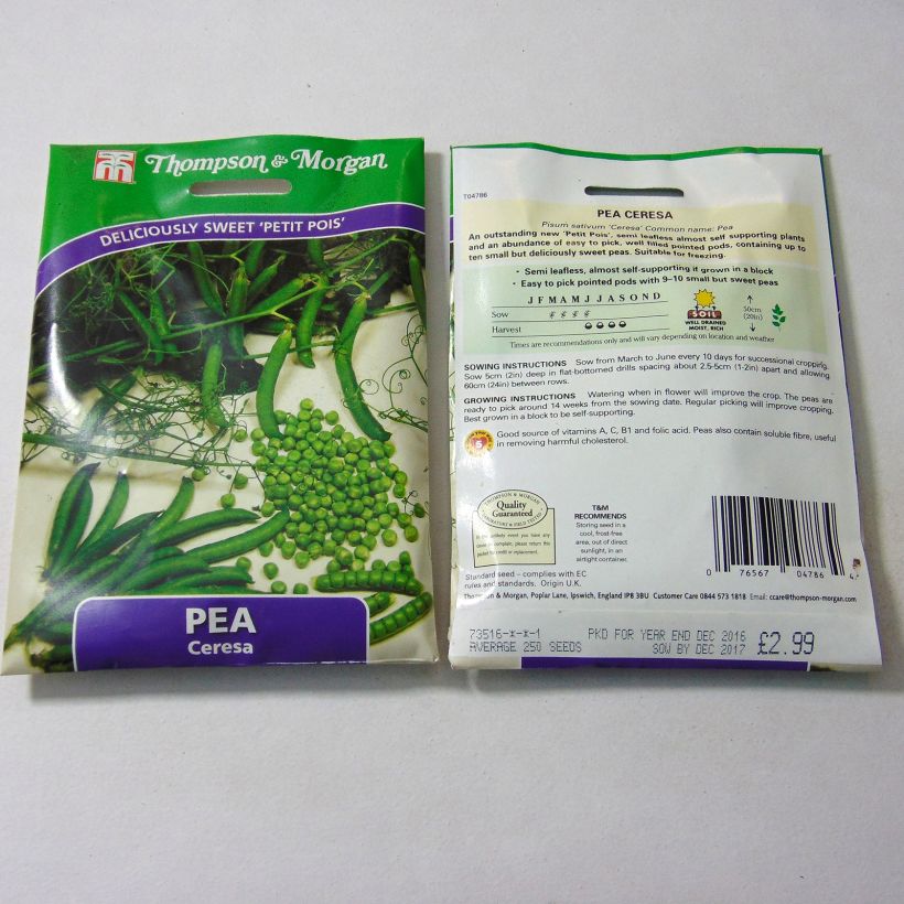 Example of Zwergerbse Ceresa per pack of 250 seeds as you get