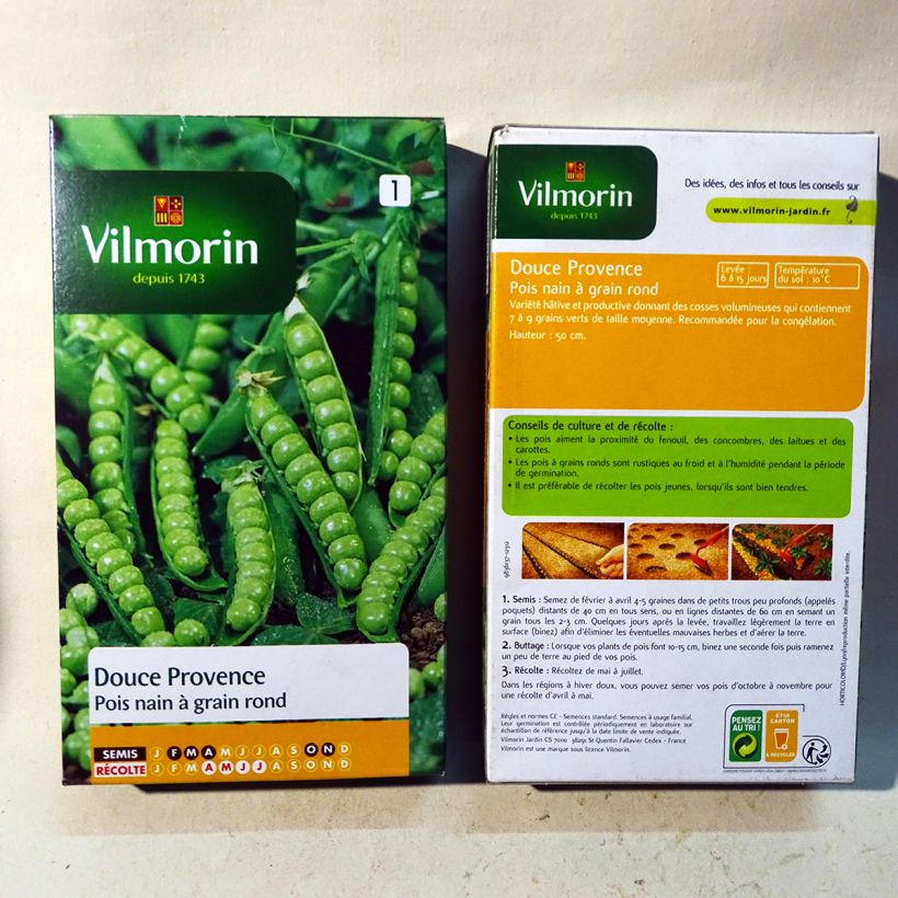 Example of Zwergerbse Douce Provence - Vilmorin per pack of 400 seeds as you get