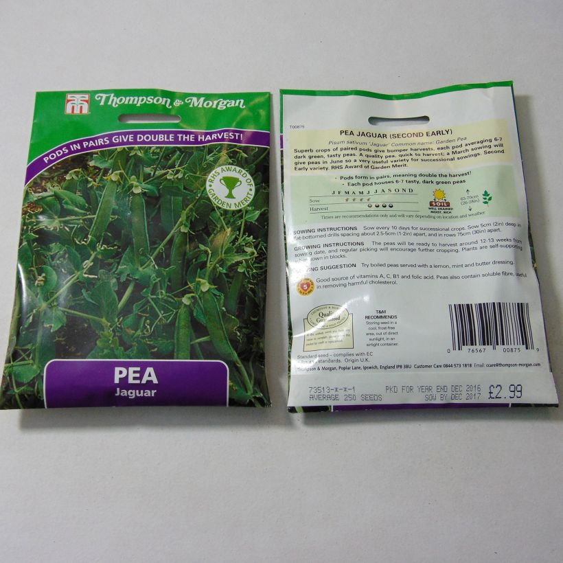Example of Zwergerbse Jaguar per pack of 250 seeds as you get