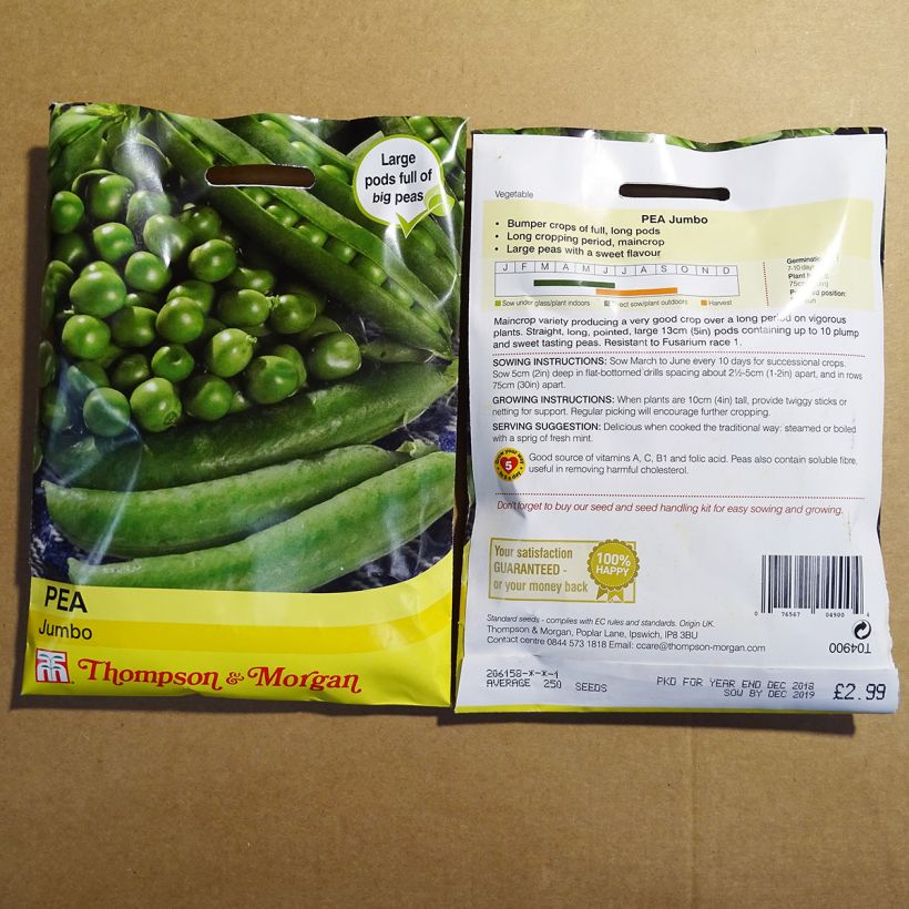 Example of Zwergerbse Jumbo per pack of 250 seeds as you get