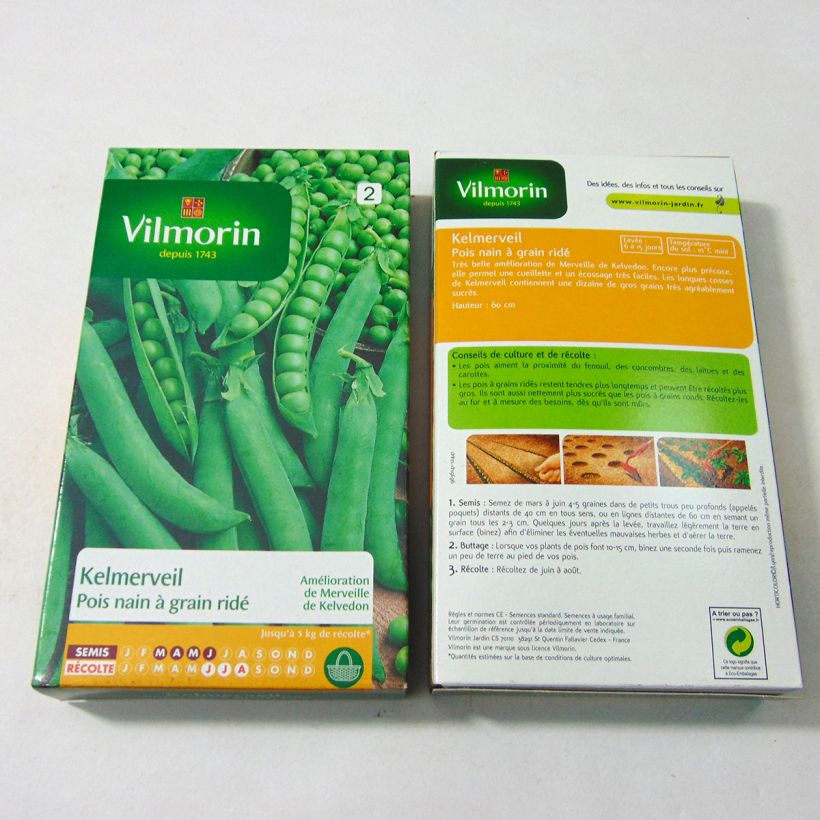 Example of Zwergerbse Kelmerveil - Vilmorin per pack of 600 seeds (200g) as you get