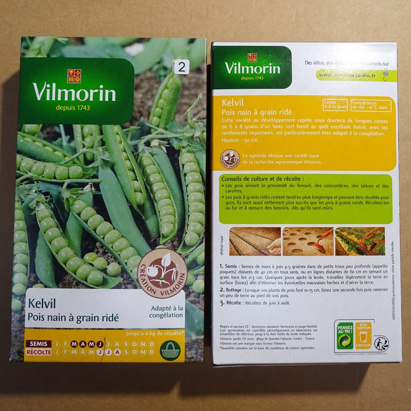 Example of Zwergerbse Kelvil - Vilmorin per pack of 750 seeds as you get