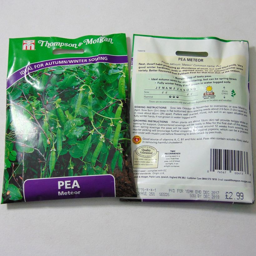 Example of Zwergerbse Meteor per pack of 250 seeds as you get