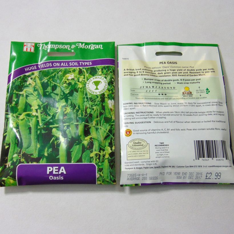 Example of Zwergerbse Oasis per pack of 250 seeds as you get