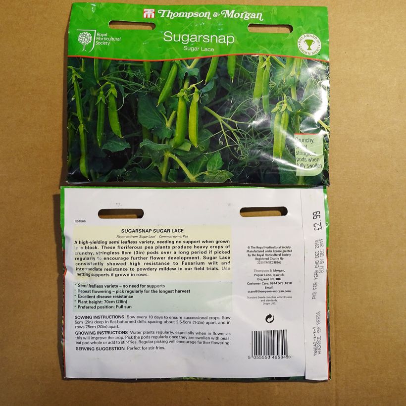 Example of Zwergerbse Sugar Lace per pack of 150 seeds as you get