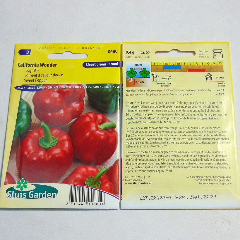 Example of Paprika California Wonder per pack of 60 seeds (0,5g) as you get